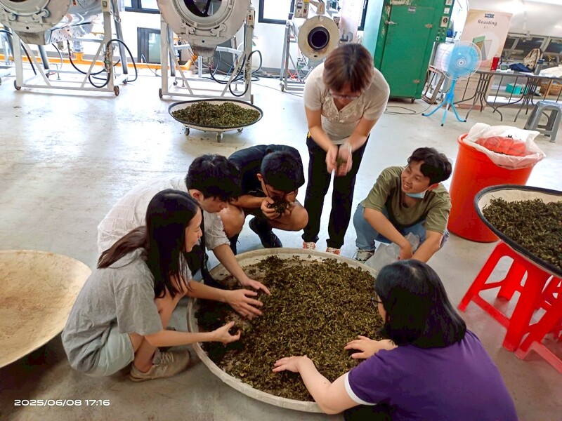 2025年臺灣客家茶文化館丙級製茶課程學員共同討論與評鑑製作完成的茶葉，體驗臺灣茶文化學習交流氛圍。