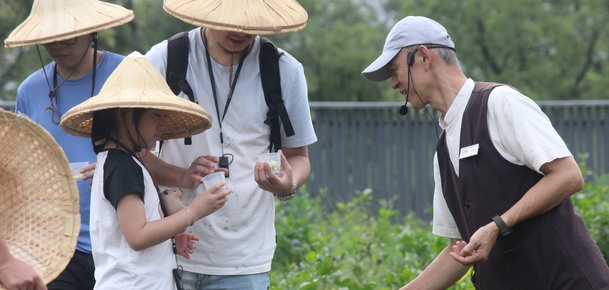 【茉莉花開】瓶中有茶，茉莉飄香|茉莉窨花茶體驗