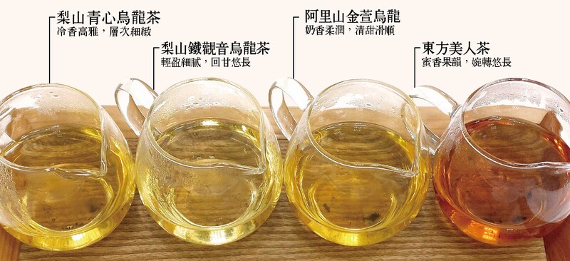 台灣客家茶文化館茶嶺風華體驗茶湯展示，依序為梨山清心烏龍茶（冷香高雅、層次細緻）、梨山鐵觀音烏龍茶（輕盈細膩、回甘悠長）、阿里山金萱烏龍茶（奶香柔潤、清甜滑順）、東方美人茶（蜜香果韻、婉轉悠長）。四款茶湯由金黃至橙紅，色澤清澈明亮。