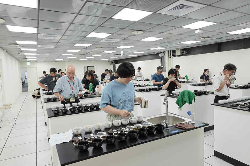 學員在台灣客家茶文化館的感官品評教室中練習茶葉品評，透過觀察茶湯顏色與香氣進行專業訓練。