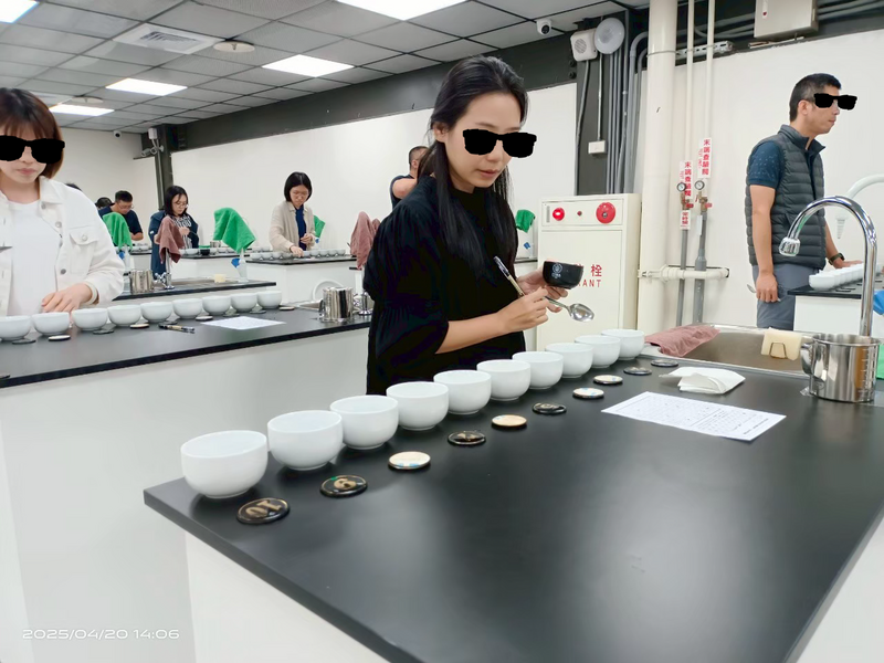 學員於茶葉感官品評課程中專注品飲與記錄，體驗茶葉風味差異，展現專業的茶葉評鑑過程。