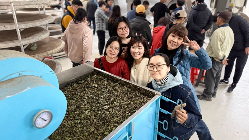 茶葉感官品評中級班學員於製茶工廠參與實作訓練，觀摩並體驗茶葉萎凋與加工流程，深入理解茶葉製程與感官變化，培養專業評茶判斷力。