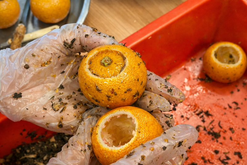 客家酸柑茶 DIY 製作過程，手工挖空酸柑果實，準備填入茶葉進行藏茶製作