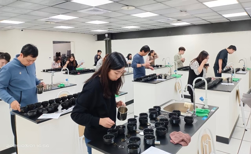 茶葉感官品評中級班學員於專業教室進行茶樣嗅聞與風味分辨訓練，透過實務操作強化感官記憶與判斷力，提升評茶專業能力。