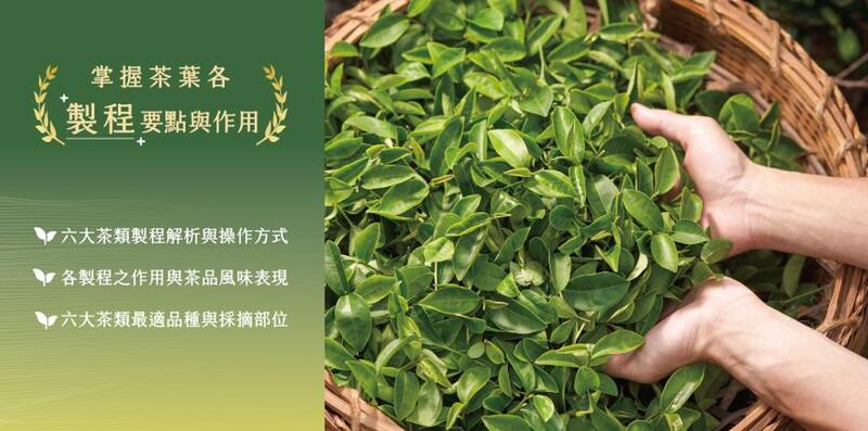 臺灣客家茶文化館展示六大茶類製程重點與作用,新鮮茶菁置於竹簍中,呈現採摘與製茶工序的基礎知識。